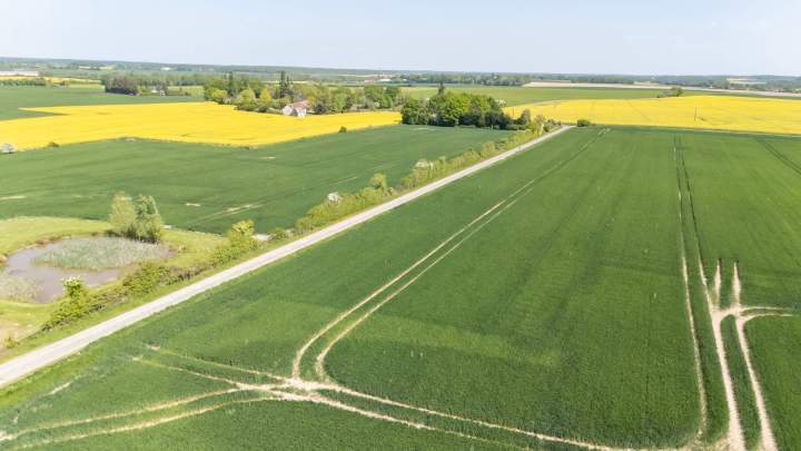Dépaysement dans la nature